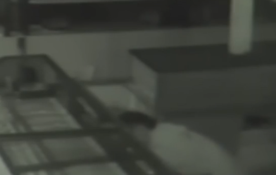 监拍：男子自作聪明溜进商场盗窃 2天内被抓获