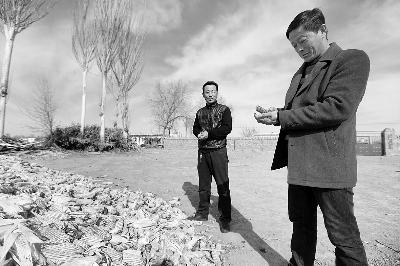 今天上午，村民邀请王力军来家里看玉米，准备卖给他