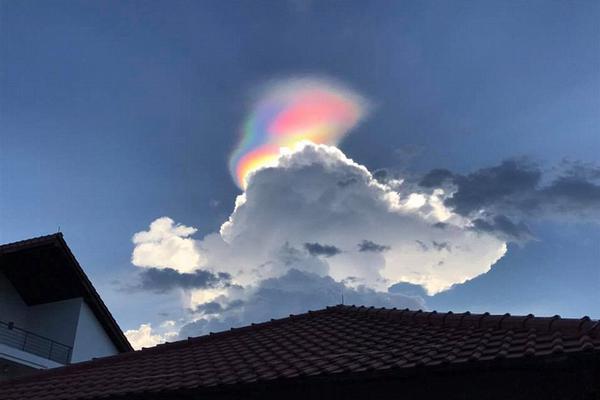 法布雷加斯转会