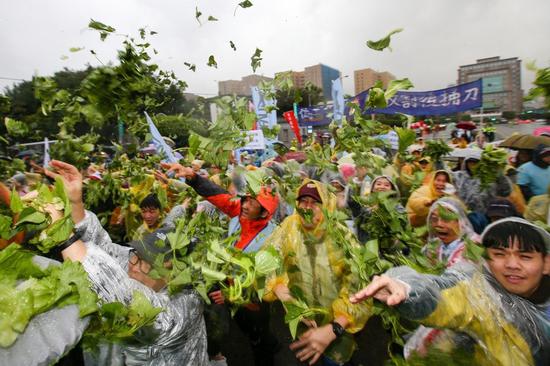 抗议群众向向蔡办投掷一堆“烂菜”，表达心中怒火。（图片来源：台湾《联合报》）