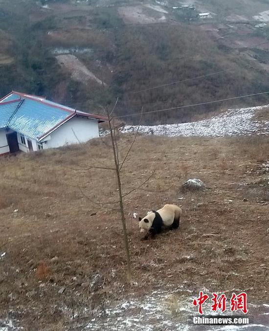 怎么才可以在手机买福利彩票投注_怎么才可以