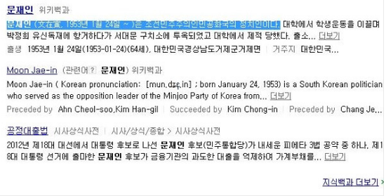 naver中检索出的维基百科中，文在寅的身份是“朝鲜民主主义共和国政治家”