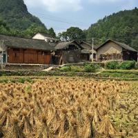 政府工作报告_2017全国两会_新浪新闻,做有视