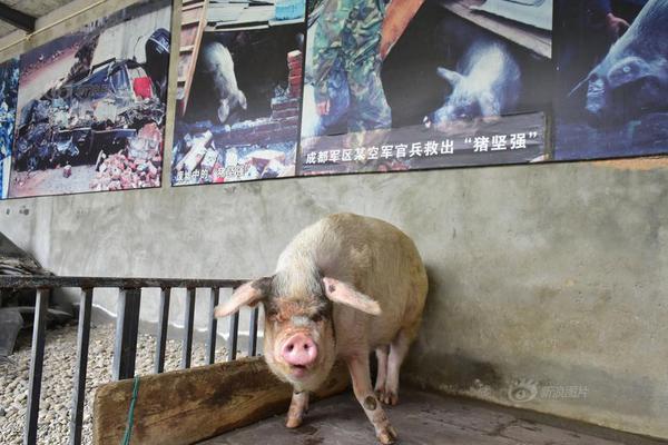 澳门永利娱乐城信誉好不好