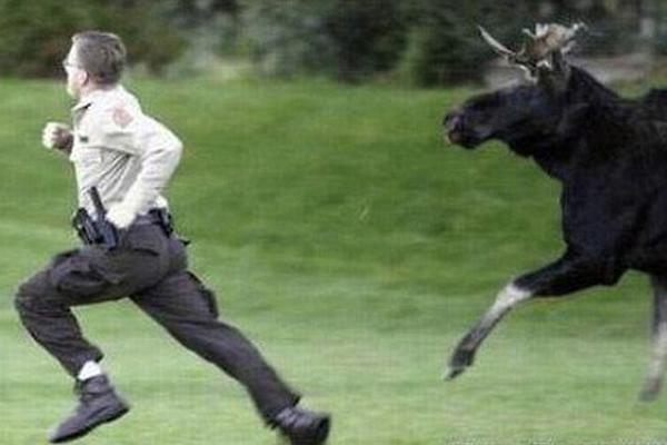 美国职业拳击比赛-乐鱼app(leyu)官方网站-乐鱼官网