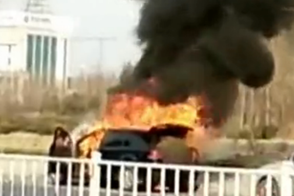 西班牙vs尼日利亚