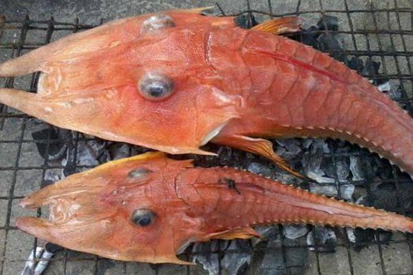 纽约尼克斯vs热火