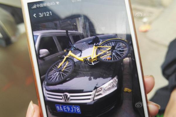 2012 萨沙-乐鱼app(leyu)官方网站-乐鱼官网