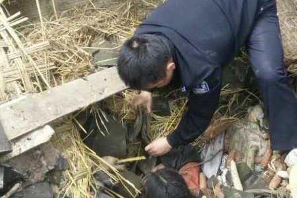 2015欧冠决赛直播-乐鱼app(leyu)官方网站-乐鱼官网