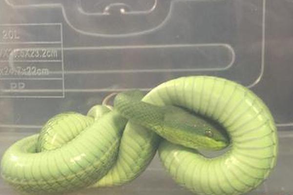 娜蒂-乐鱼app(leyu)官方网站-乐鱼官网