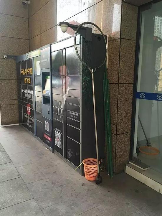 小区出口旁放置了一个大网兜，据说是用来抓狗的。