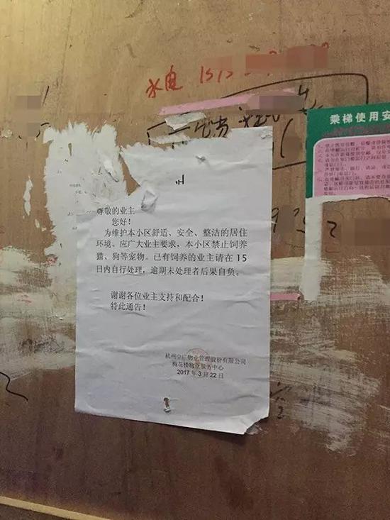 A区电梯里张贴的禁止饲养宠物的通知