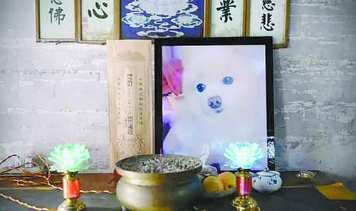 目前,福泽园一年的追悼会等悼唁活动有1000多场