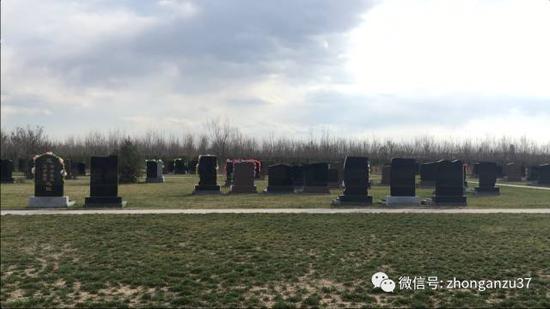 紧邻北京的涿州万佛园公墓部分坐北朝南的墓地，单价在6万到10万左右。    新京报记者 游天燚摄