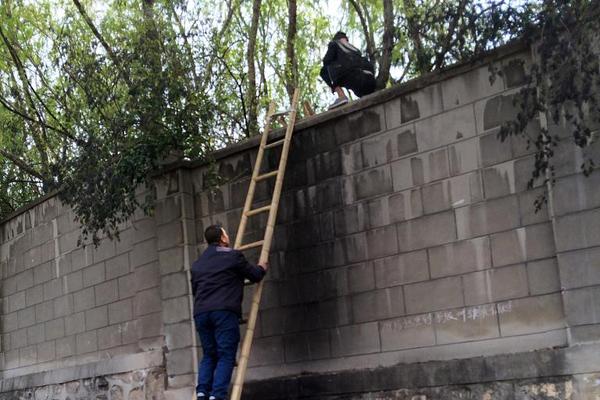 汽车报废补贴新政策,这3类车注意