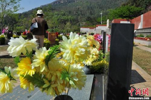 资料图：昆明一墓园内的墓碑上插满鲜花。任东 摄