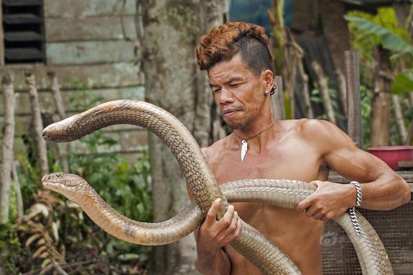 山东选美-爱游戏App官方下载入口-爱游戏