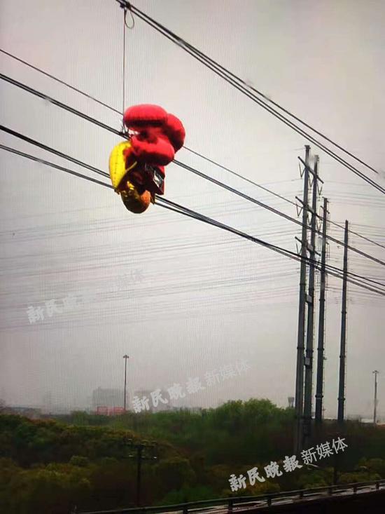 图说:由于气球飘入了运营线路,缠绕触网,对正常运营造成了影响上海地铁供图