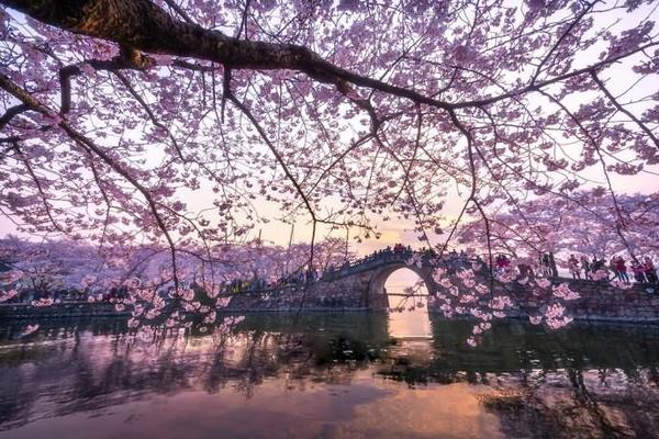 天下足球克雷斯波-乐鱼app(leyu)官方网站-乐鱼官网