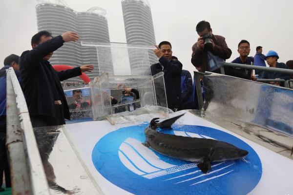 河南8套-乐鱼app(leyu)官方网站-乐鱼官网