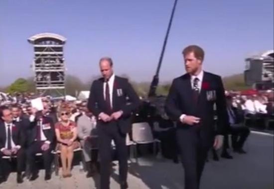 威廉和亨利王子参加一战维米岭战役纪念活动