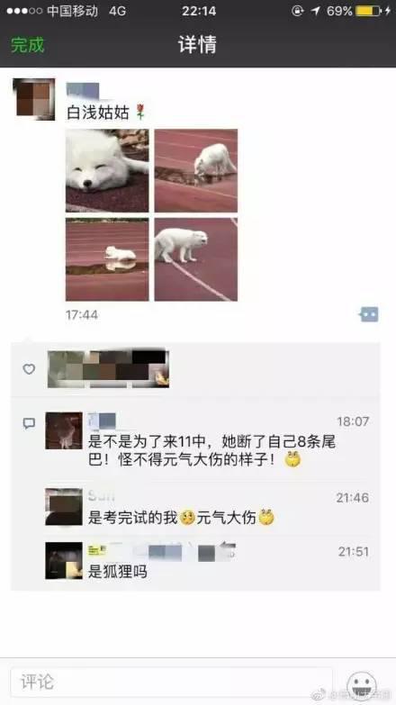 不得已赶跑它，因为那天学校正在高考