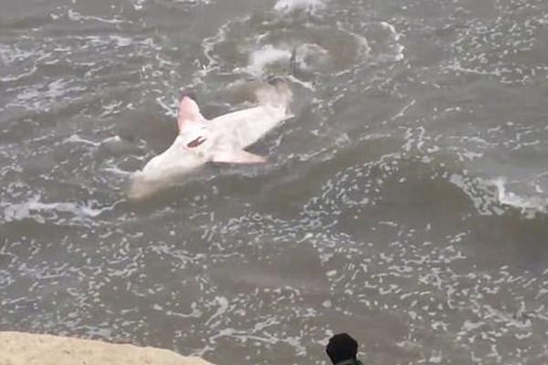 兰州马拉松官网-乐鱼app(leyu)官方网站-乐鱼官网