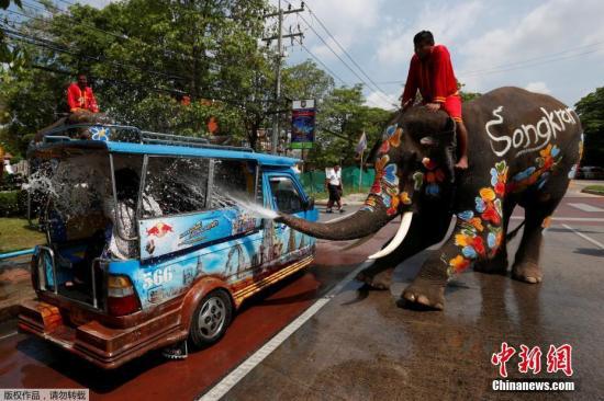 大象向一个车辆里喷水。