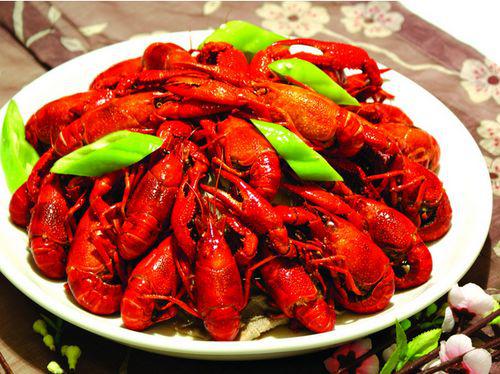 马上金融人工服务电话是多少