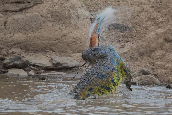 萨维切维奇-乐鱼app(leyu)官方网站-乐鱼官网