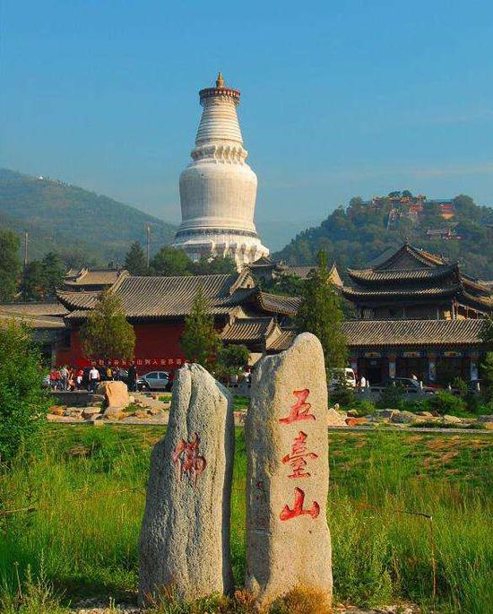 玩北京赛车杀冠