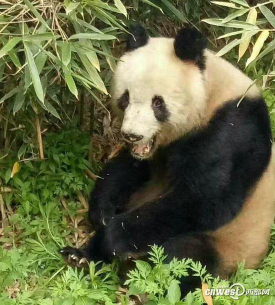 北京赛车pk拾虎龙改单