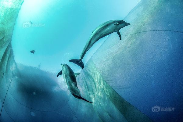 广州恒大 蒙通联-乐鱼app(leyu)官方网站-乐鱼官网