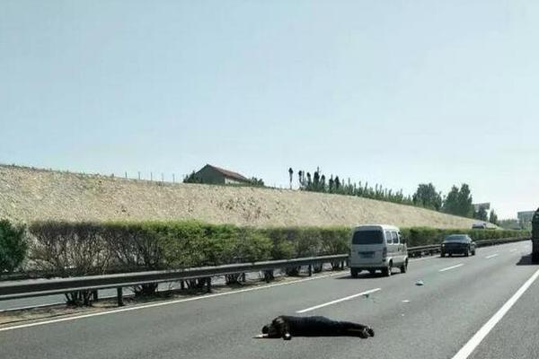 科萨诺维奇-九游体育APP下载-九游体育app-九游体育app官网网站|九游体育