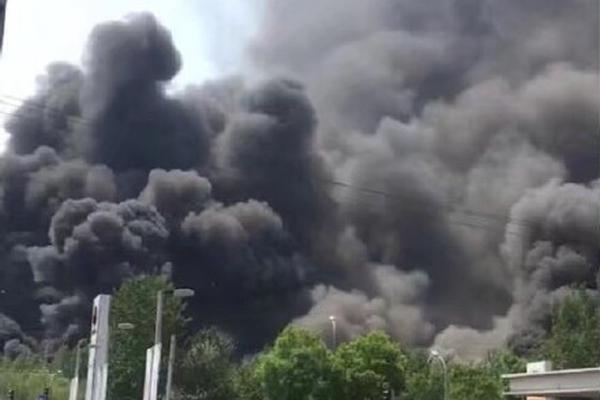 曼联19号-万博·体育(ManBetX)官方网站_ManBetx