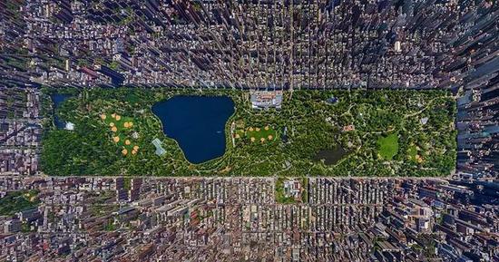 纽约中央公园（图片来自网络）