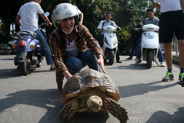 卡纳莱斯-乐鱼app(leyu)官方网站-乐鱼官网