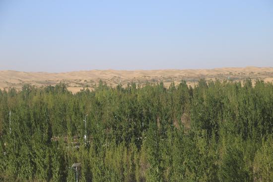 5月5日，蓝天下的库布其沙漠满眼都是绿色。