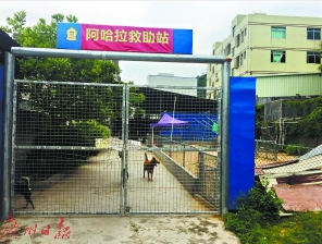 救助站门口