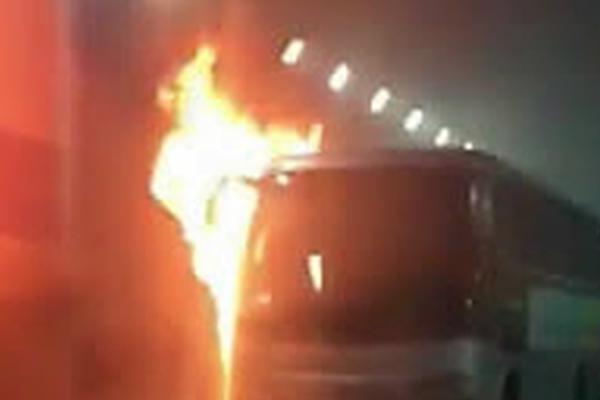 球星排名-乐鱼app(leyu)官方网站-乐鱼官网