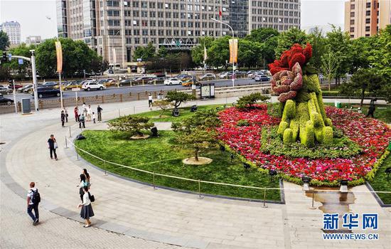 5月8日，市民走过布置在北京东单路口的“花开富贵”花坛。近日，北京在东单路口等地布置不同样式的大型花坛，迎接即将在北京举行的“一带一路”国际合作高峰论坛。 新华社记者 李欣 摄
