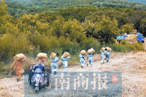 嵩山少林寺禅耕农场被强拆：你给永信打电话吧（图） - 1