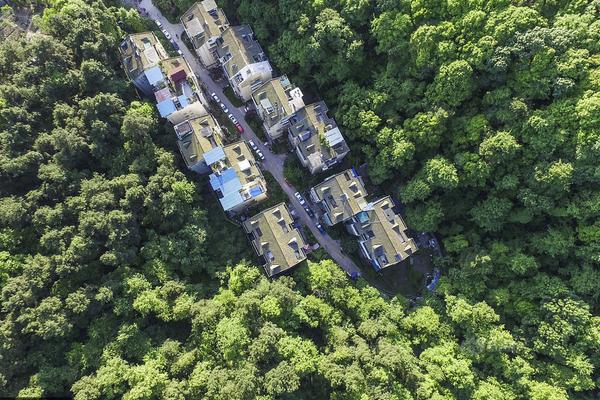 纽约尼克斯vs热火