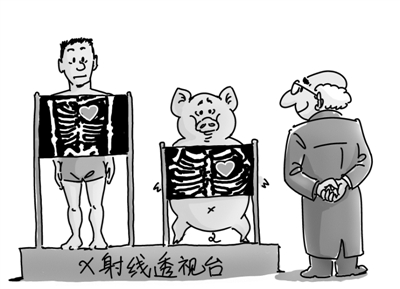 视觉中国供图。