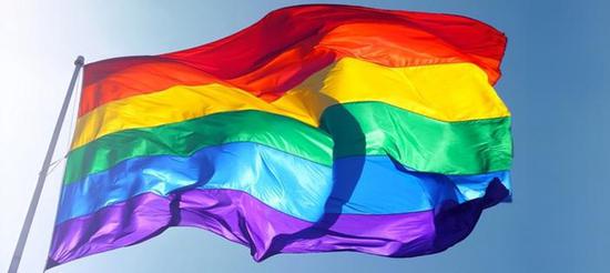 台湾推动同性婚姻合法化引发社会争议|同性婚姻|台湾|合法化_新浪新闻