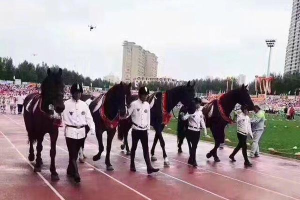 切尔西队名-乐鱼app(leyu)官方网站-乐鱼官网