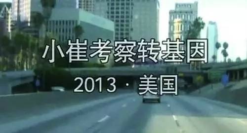 崔曾自费100万拍转基因纪录片