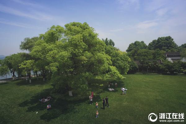 阿森纳不败赛季阵容-乐鱼app(leyu)官方网站-乐鱼官网