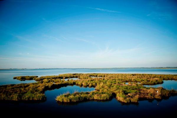 火箭vs开拓者季后赛-乐鱼app(leyu)官方网站-乐鱼官网