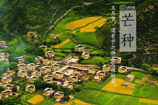 太平洋电子竞技-乐鱼app(leyu)官方网站-乐鱼官网